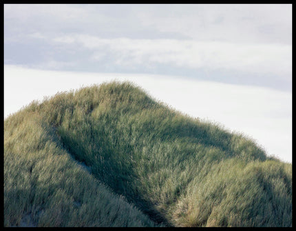 Ein Leinwandbild von grünen Gräsern auf einer Sanddüne.