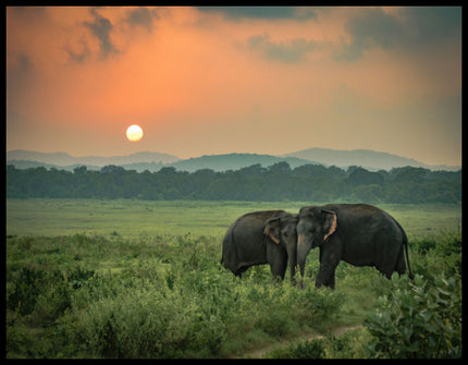 Ein Leinwandbild von zwei Elefanten bei Sonnenuntergang in Afrika.