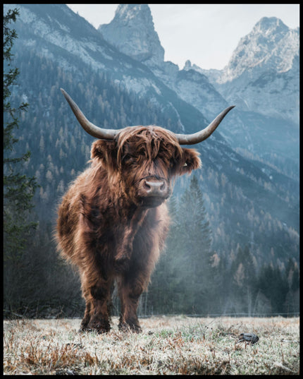 Ein Leinwandbild von einem Highland-Rind, das vor einer Berglandschaft steht.