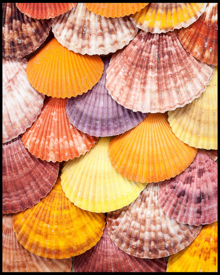 Leinwandbild einer Nahaufnahme von bunten Muscheln die nebeneinander und übereinander angeordnet sind.