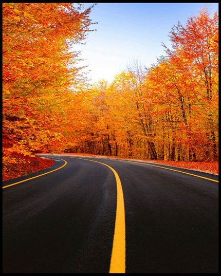 Leinwandbild von einer leeren schwarzen Straße die durch einen herbstlichen. orangenen Wald führt.