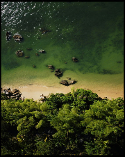 Leinwandbild von einem Sandstrand mit grünlichem Wasser vor einem tropischen Wald.