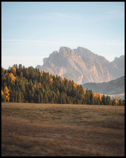 Leinwandbild von einem dichten Waldstück in einer kargen Berglandschaft.