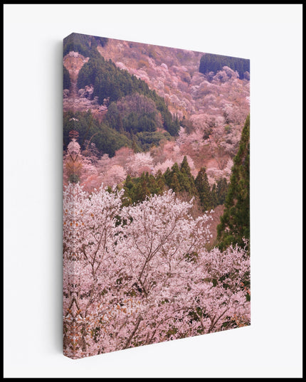 Cherry Blossom Valley Canvas