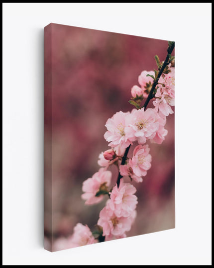 Cherry Blossom Branch Canvas