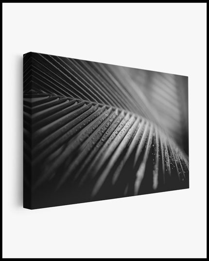 Black and White Palm Leaves Canvas