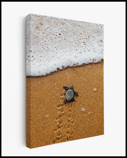 Turtle on the Beach Canvas