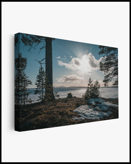 Lake View from the Shore Canvas