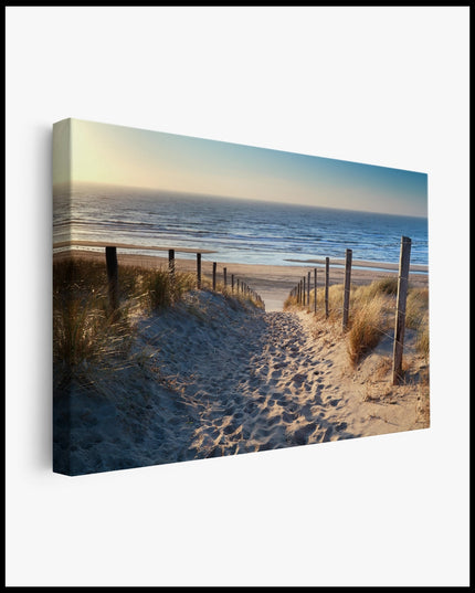 North Sea Beach Path Canvas