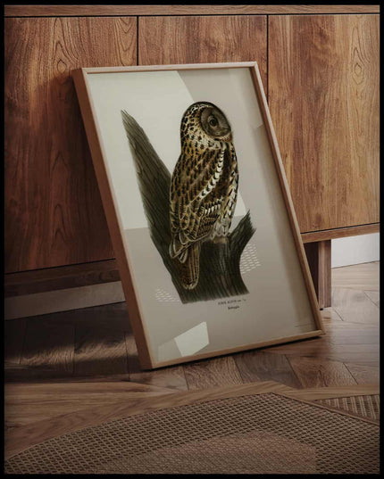 Tawny Owl Poster