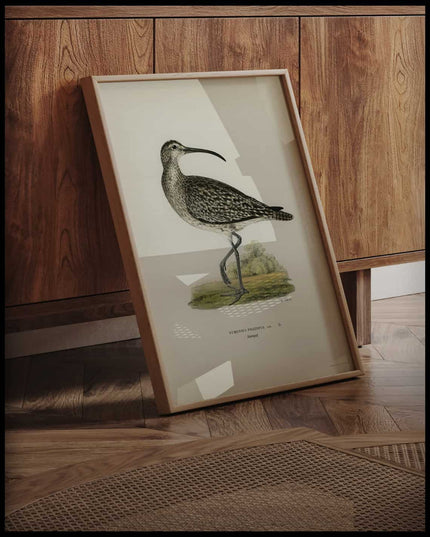 Numenius Phaeopus Poster