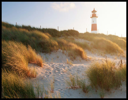 Ein Poster von einem Leuchtturm auf Sylt, der hinter grasbedeckten Dünen hervorschaut.