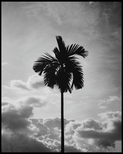 Ein Poster von einer einsamen Palme vor bewölktem Himmel in Schwarz-Weiß.