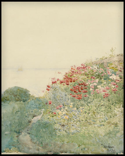 Field of Poppies, Isles of Shoals