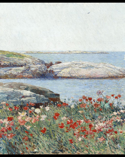 Poppies, Isles of Shoals