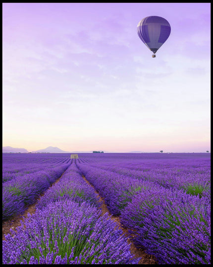 Ein Poster von einem Lavendelfeld und einem Heißluftballon mit lila-weißem Muster, der über dem Feld schwebt.