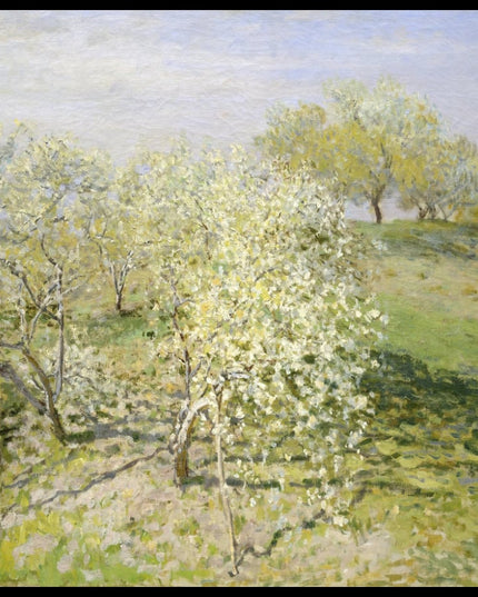 Spring (Fruit Trees in Bloom)