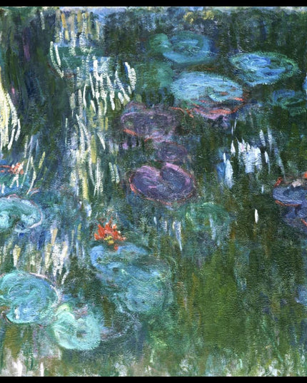 Water Lilies