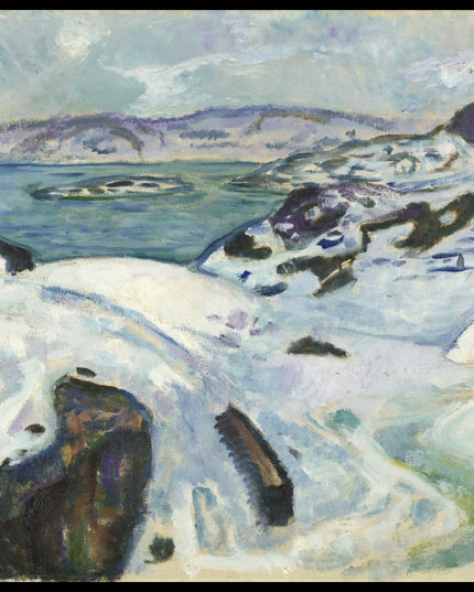 Winter on the Fiord