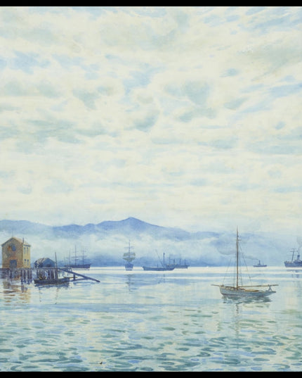 Wellington Harbour 1902