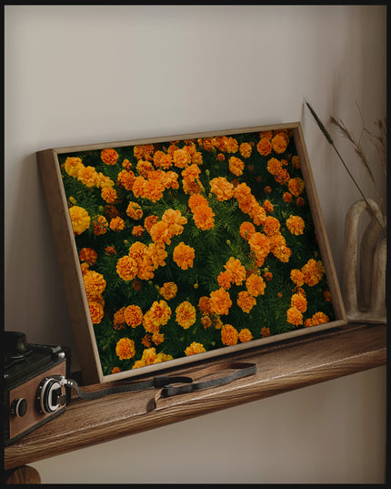 Ein gerahmtes Poster von leuchtend orangefarbenen Blumen in voller Blüte, auf einem Holzregal an die Wand angelehnt