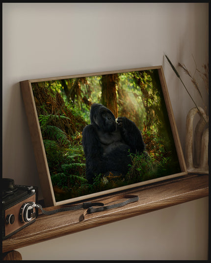 Ein gerahmtes Poster von einem Gorilla, der in einem dichten, auf einem Holzregal an die Wand angelehnt