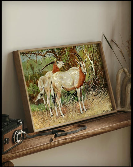 Sable Antelope