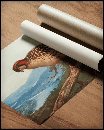 Cabottragopan Poster