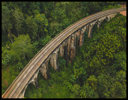 Ein Poster aus der Vogelperspektive von einer Viaduktbrücke aus Stein die durch einen tropischen Wald führt.