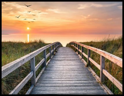 Ein Poster von einem Holzsteg im Sonnenuntergang, der über Dünen zum Strand führt.